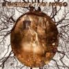Il Giardino del Mago
