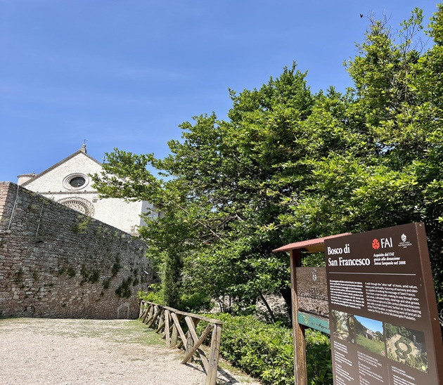 Sfondo